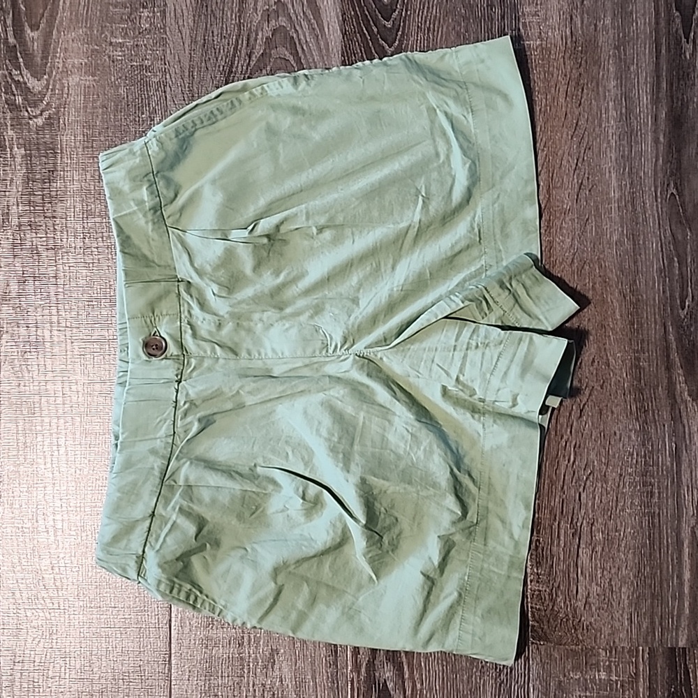 🦇 A New Day Sage Green Shorts 🦇